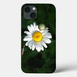 Daisy Foto iPhone 6/6, Tough Xtreme Case-Mate iPhone Hülle