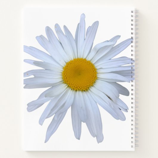 Daisy Foto Journal White Yellow Script Notizblock (Rückseite)