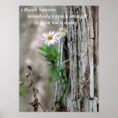 Daisy Foto Poster (Vorne)