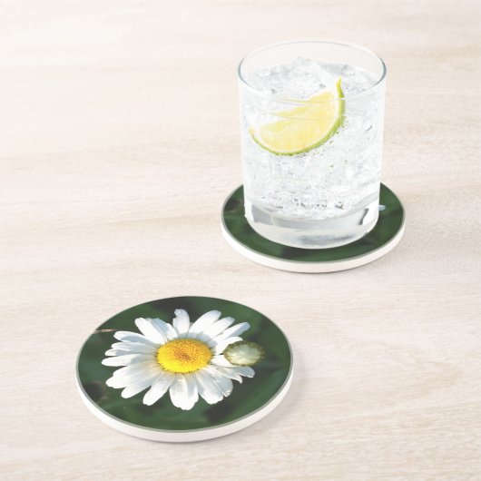Daisy Foto Sandstone Drink Untersetzer (Seite)
