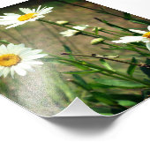 Daisy Fotodruck (Ecke)