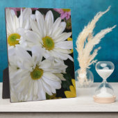 Daisy Fotoplatte (Seite)