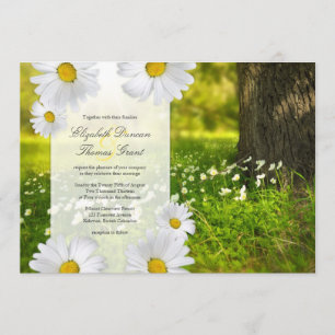 Daisy Frame mit Wiese Foto Hochzeitseinladung Einladung