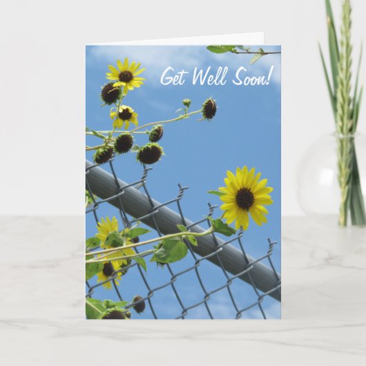 Daisy Get Well bald greeting Card Karte (Vorderseite)