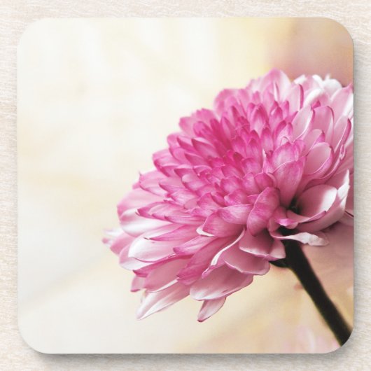 Daisy Getränkeuntersetzer (Vorderseite)