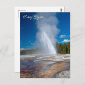 Daisy Geyser Erupting Yellowstone Nationalpark Postkarte (Vorne/Hinten)