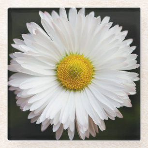 Daisy Glasuntersetzer