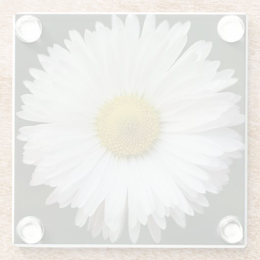 Daisy Glasuntersetzer (Rückseite)