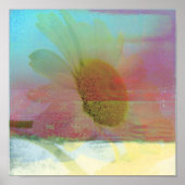 Daisy Glitch Poster (Vorne)