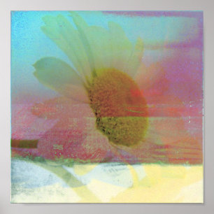 Daisy Glitch Poster