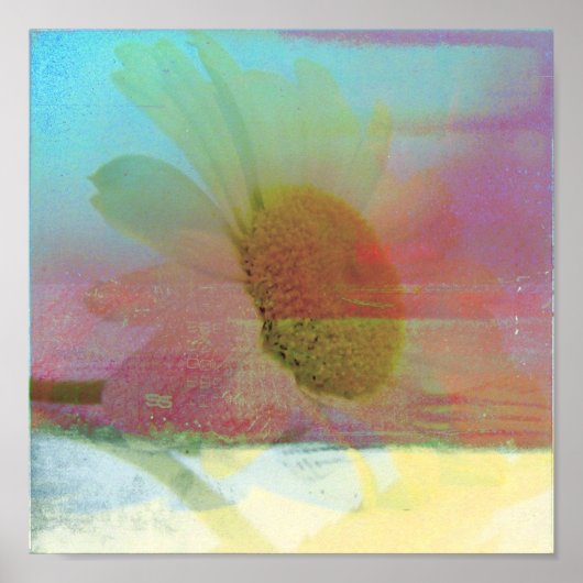 Daisy Glitch Poster (Vorne)