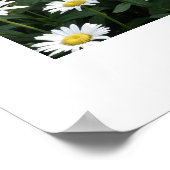 Daisy Green Poster (Ecke)