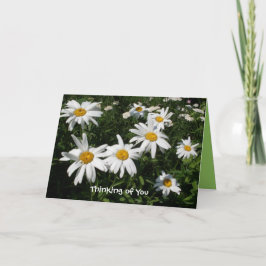 Daisy Happy Card Karte