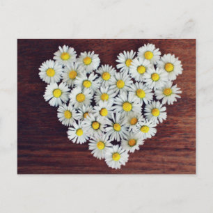 Daisy Heart of Daisies Liebe Card Postkarte