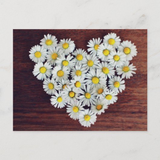 Daisy Heart of Daisies Liebe Card Postkarte (Vorderseite)