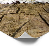 Daisy Heart Poster (Ecke)