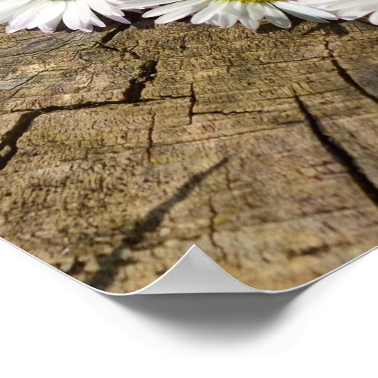 Daisy Heart Poster (Ecke)