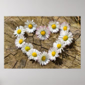 Daisy Heart Poster (Vorne)
