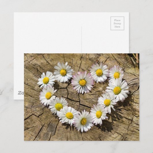 Daisy Heart Postkarte (Vorne/Hinten)
