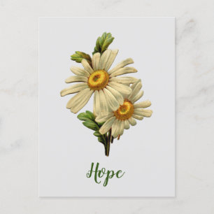 Daisy Hope Inspirational Postkarte