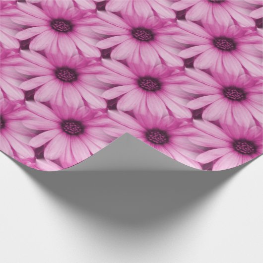 Daisy Hübsch Pink Blume Muster Geschenkpapier (Ecke)