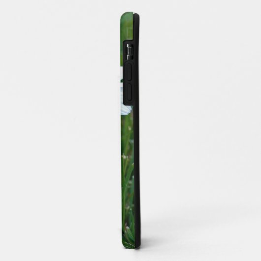 Daisy im Gras Case-Mate iPhone Hülle (Hinten/Links)