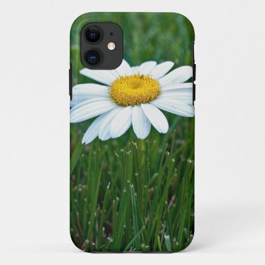 Daisy im Gras Case-Mate iPhone Hülle (Rückseite)