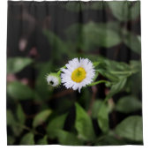 Daisy im Wald Duschvorhang (Vorderseite)