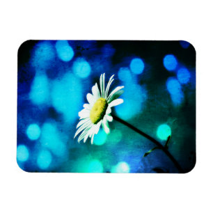 Daisy in blau und grün magnet