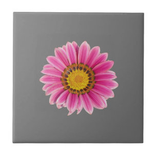 Daisy in Rosa Fliese