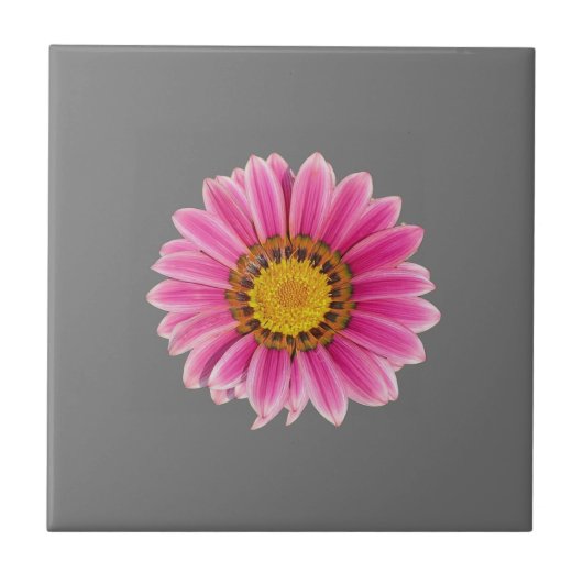 Daisy in Rosa Fliese (Vorderseite)