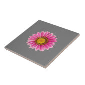 Daisy in Rosa Fliese (Seite)