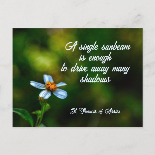 Daisy in Shadows St. Francis von Assisi Quote Postkarte (Vorderseite)