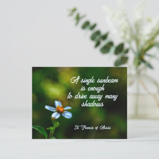Daisy in Shadows St. Francis von Assisi Quote Postkarte (Stehend Vorderseite)