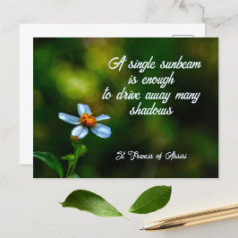 Daisy in Shadows St. Francis von Assisi Quote Postkarte