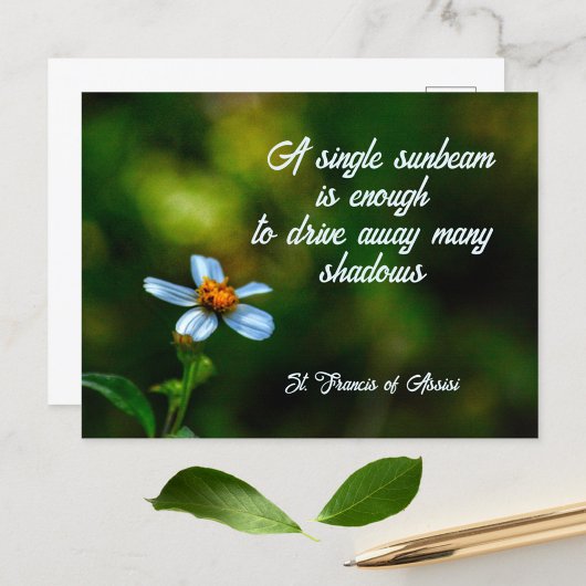 Daisy in Shadows St. Francis von Assisi Quote Postkarte