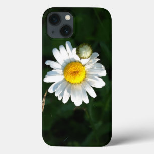 Daisy iPhone 6/6, Tough Xtreme Case-Mate iPhone Hülle