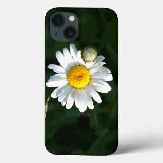 Daisy iPhone 6/6, Tough Xtreme Case-Mate iPhone Hülle (Rückseite)