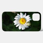 Daisy iPhone 6/6, Tough Xtreme Case-Mate iPhone Hülle (Rückseite (Horizontal))