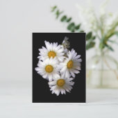 Daisy IV Postkarte (Stehend Vorderseite)