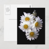 Daisy IV Postkarte (Vorne/Hinten)