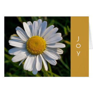 DAISY JOY card