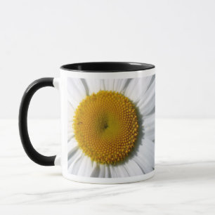 DAISY KAFFEE MUGS - DESIGNER KÜCHE ITEMS - GIFTS TASSE