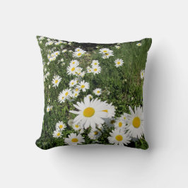 Daisy Kissen