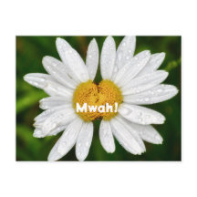 Daisy Kisses Birthday Valentine Liebe Gruß