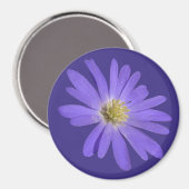 Daisy Kühlschrankmagnet Blue Blume Daisy Geschenke (Vorderseite/Rückseite)