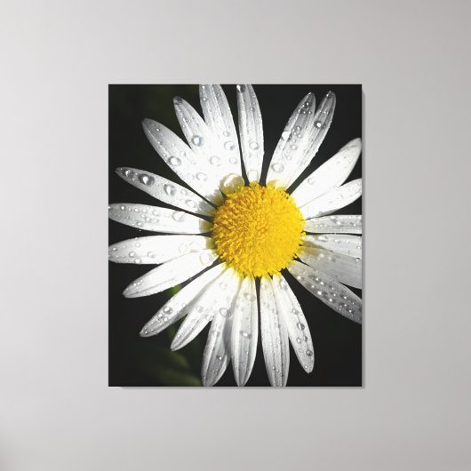 Daisy Leinwanddruck (Vorderseite)