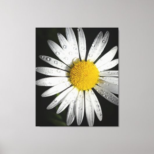 Daisy Leinwanddruck (Vorderseite)