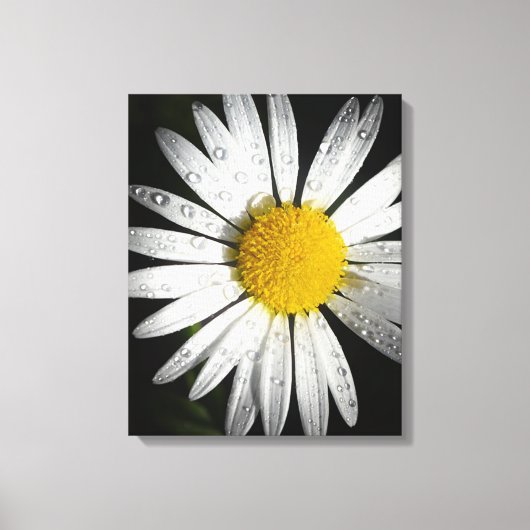 Daisy Leinwanddruck (Vorderseite)