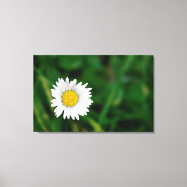 Daisy Leinwanddruck